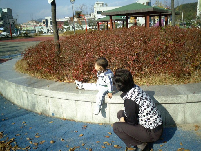 010.jpg