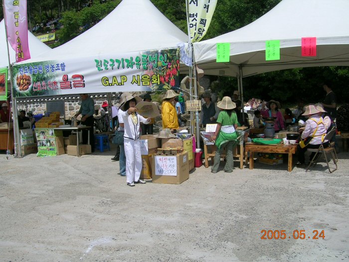 DSCN0786.JPG