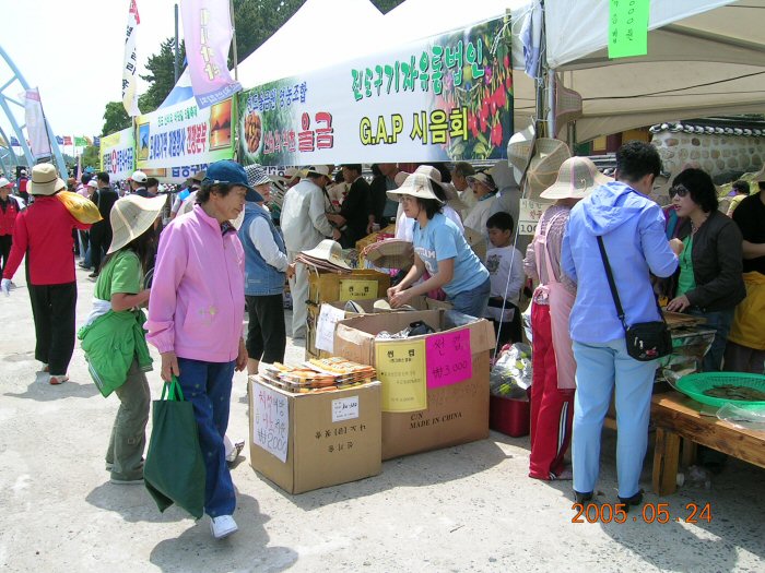 DSCN0801.JPG
