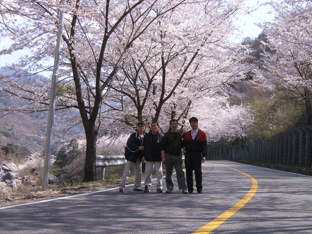 DCAM5136.jpg
