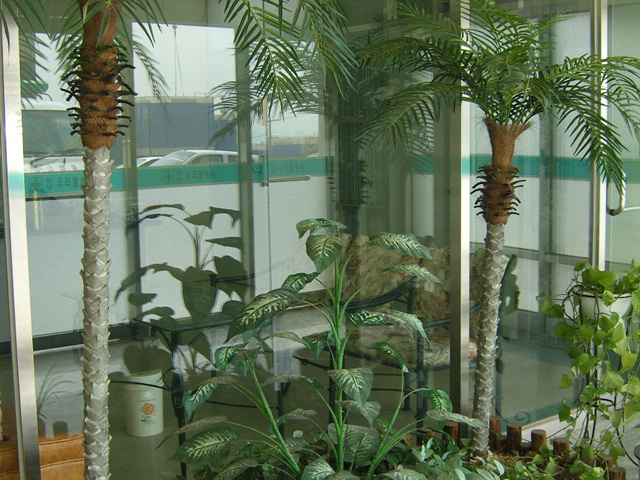 DCAM5185.jpg
