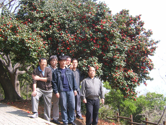 DCAM5206.jpg
