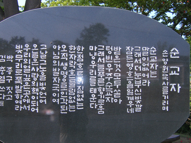 DCAM5230.jpg
