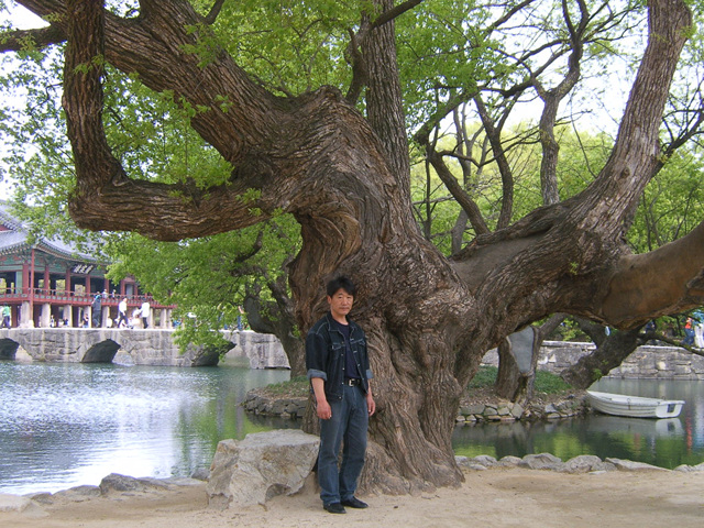DCAM5253.jpg