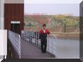 DCAM5295.jpg