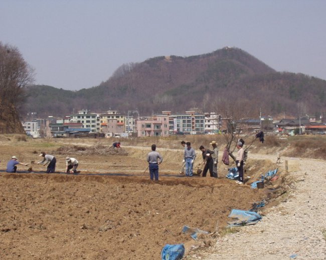 P1010002.jpg