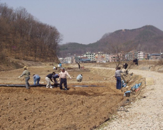 P1010003.jpg