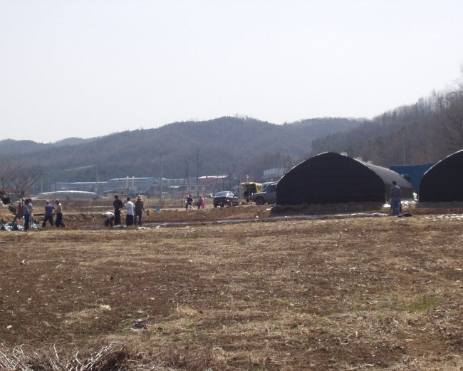 P1010006.jpg