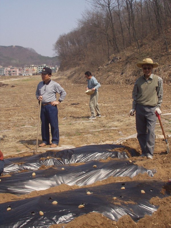 P1010009.jpg
