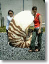076.gif