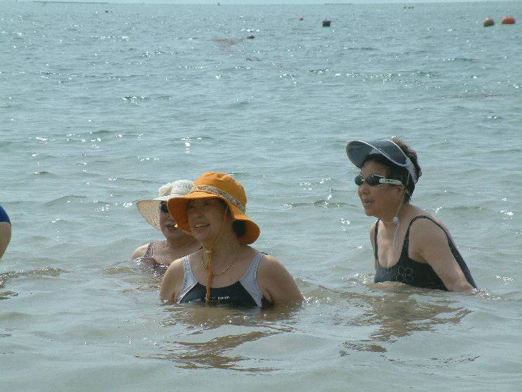 DSC0052.gif