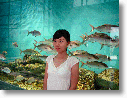 DSCF0011.gif
