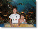 DSCF0035.gif
