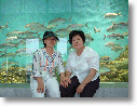 DSCF0050.gif