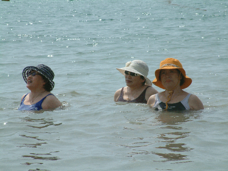 DSCF0053.gif