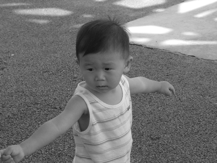 DSCF0076.gif