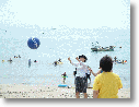 DSCF0211.gif
