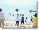DSCF0213.gif
