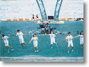 3.gif