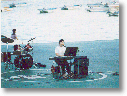 5.gif