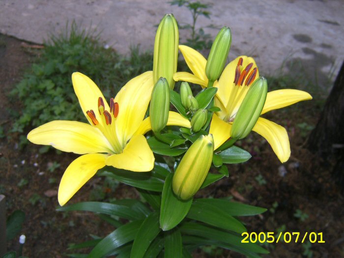 25.jpg