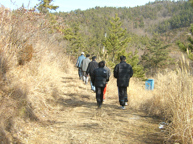 DCAM2103.jpg