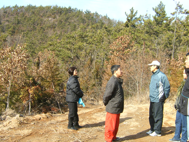 DCAM2116.jpg