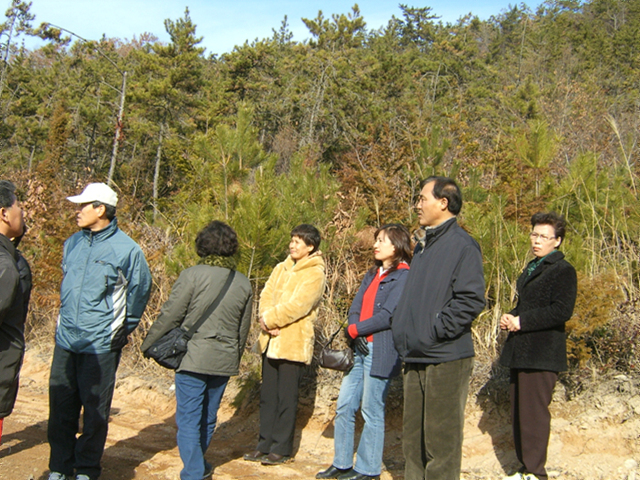 DCAM2118.jpg