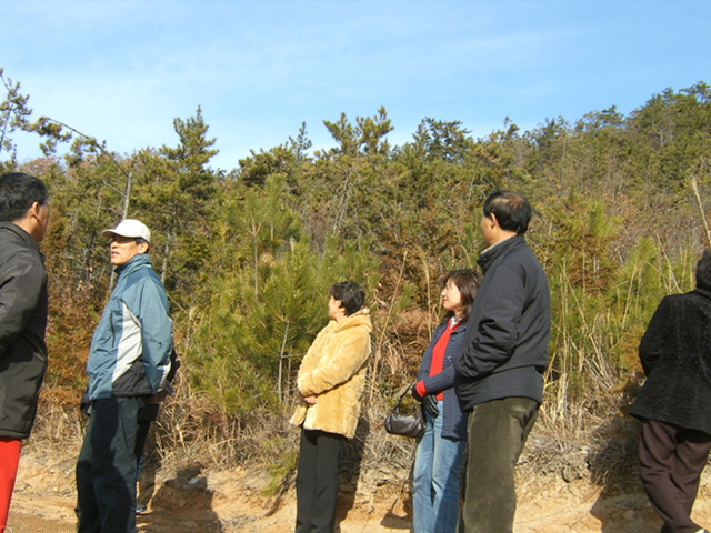 DCAM2119.jpg
