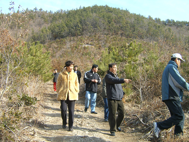 DCAM2126.jpg