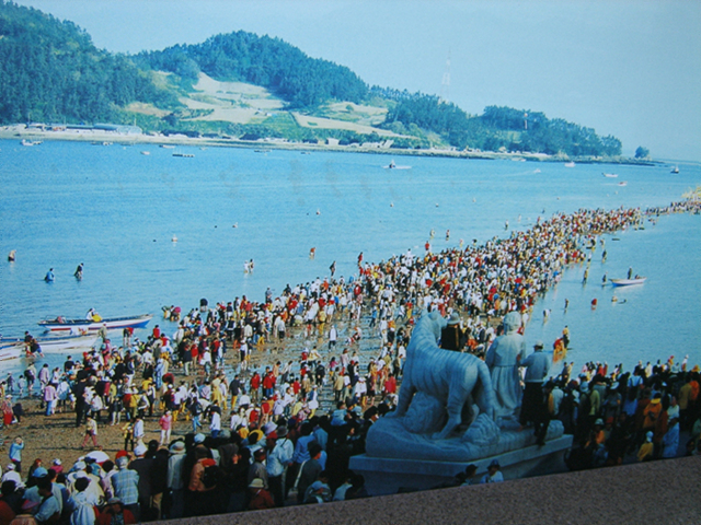DCAM2130.jpg