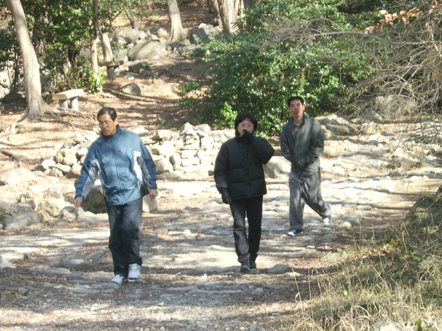 DCAM2174.jpg