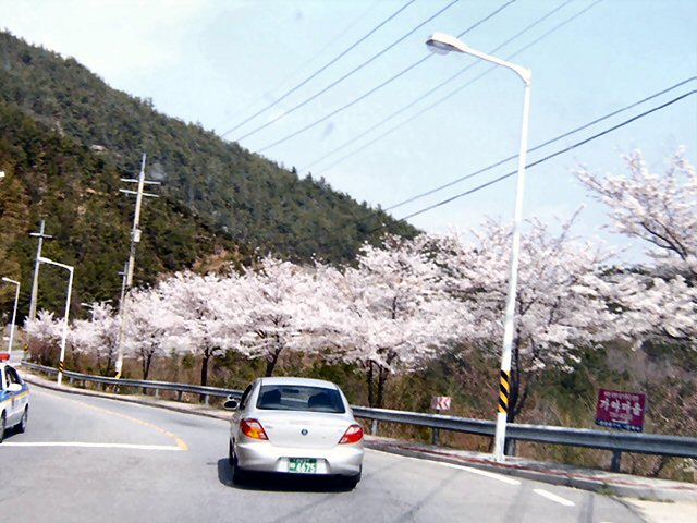 01-00.jpg