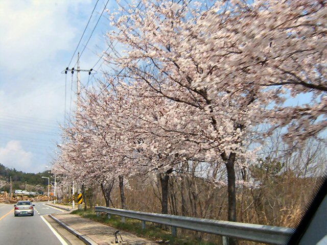 01-05.jpg