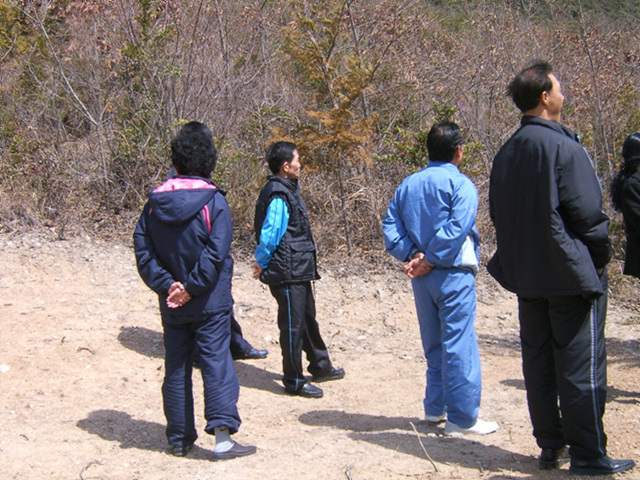 a013.jpg