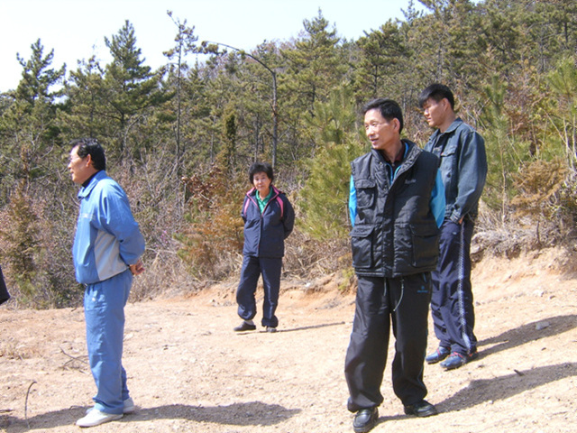 a014.jpg