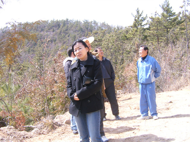 a015.jpg