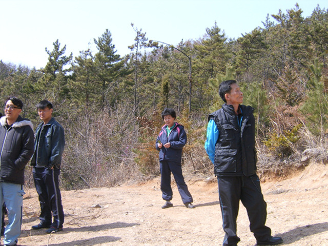 a016.jpg