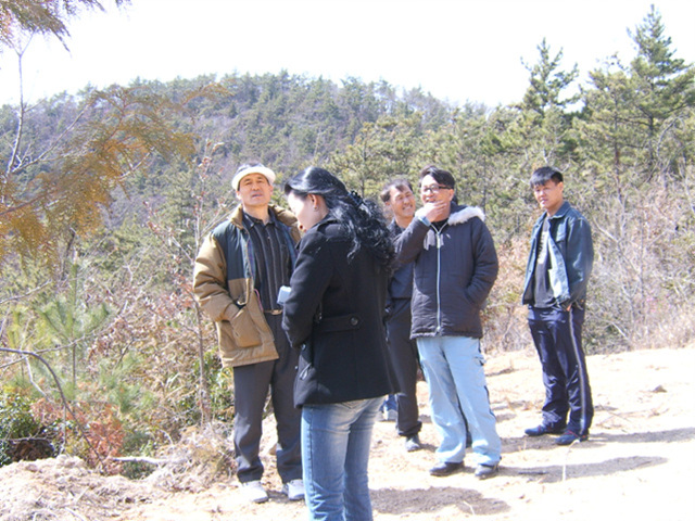 a017.jpg