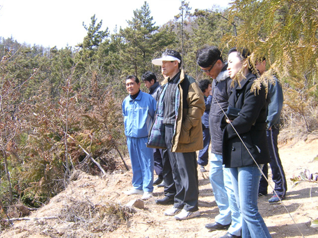 a018.jpg