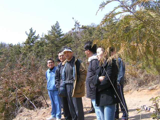 a019.jpg