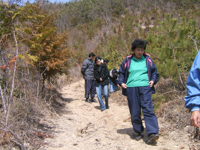 a026.jpg