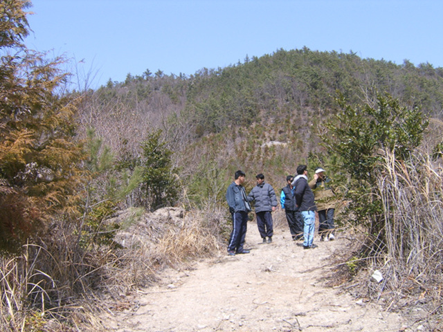 a032.jpg