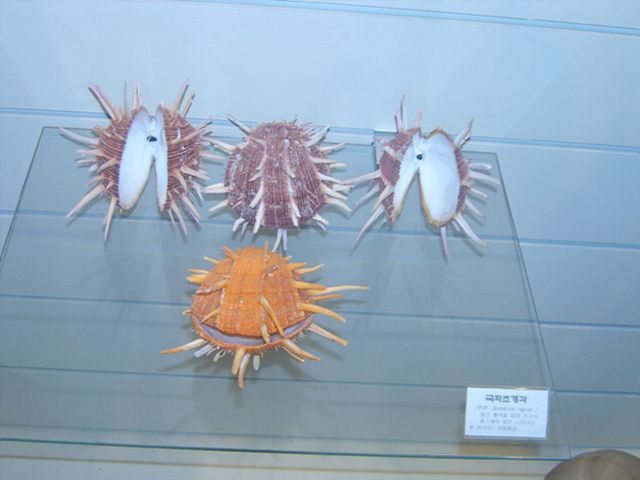 a053.jpg
