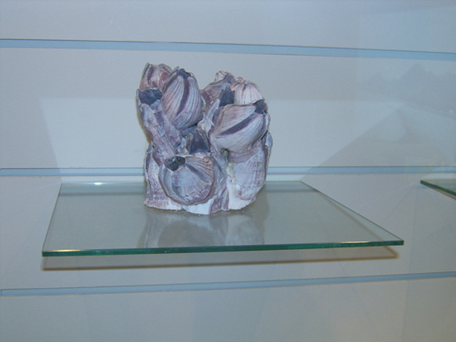 a054.jpg