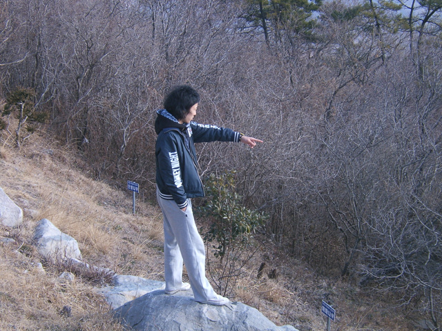 DCAM4801.jpg