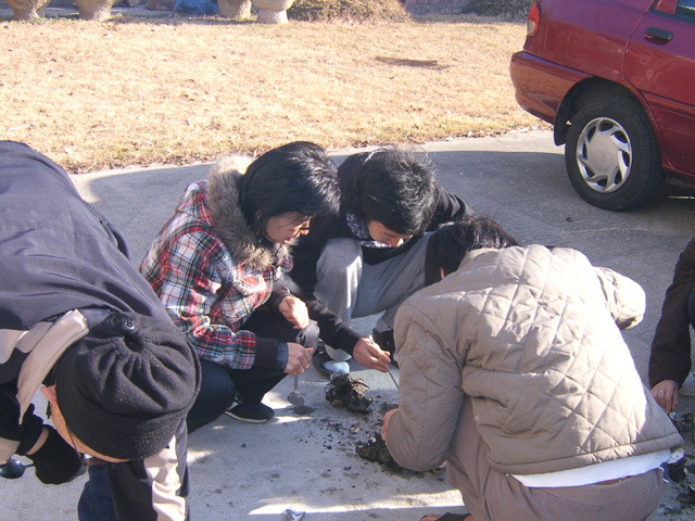 DCAM4804.jpg