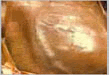 img16.gif