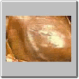 img16.gif