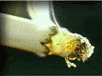 img18.gif